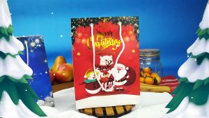 Paper Bag Natal - Paper Bag Christmas| 15x8x20 cm Varian (5 pcs)