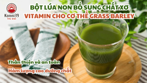 BỘT LÚA NON BỔ SUNG CHẤT XƠ VÀ VITAMIN GRASS BARLEY (HỘP 44 GÓI) - HÀNG NỘI ĐỊA NHẬT