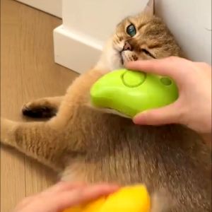3 In 1 Steam Pet Brush Cat Brush Indoor Cat Hair Removal Dog Steam Brush Massage Pet Grooming