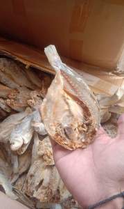 Ikan asin COD GULAMA Bloso belah / dua wajah 1kg paling murah terlaris