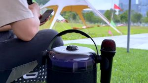 Awei Y388 20W Karaoke Bluetooth Speaker Dual Microphone Subwoofer Hifi Wireless Bluetooth Speaker