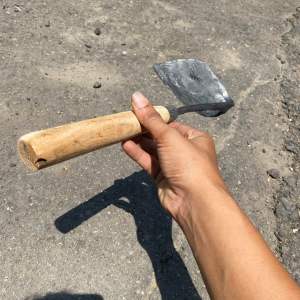 Gatul Gulma Gatul Rumput Gatul Dangir