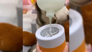 AiPet  Portable Dog Foot Massage Pet Foot Wash Cup Soft Silicone Material Cat and Dog Foot Cleaner