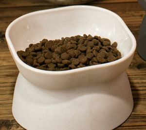 Premium Space Bag Pet Carrier Backpack / Bag Capsule Accessory Travel Essential 宠物出行包 (Marble Cat)