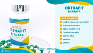 Obat Infeksi Saluran Kencing Kemih ISK Obat Gagal Ginjal Akut Sakit Kencing Orthafit Bharata