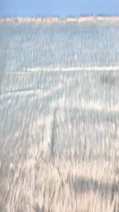 Hntob 10pcs 5D Cup Shaped Baby 0-3Y Facemask Adjustable Ear Cord Stereoscopic Mask Protective