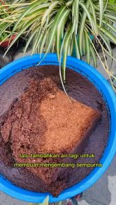 Cocopeat Block Media Tanam 1 kg Halus Organik
