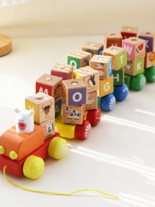 Educational Wooden Train Building Blocks
