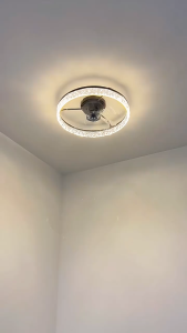 (SG STOCK) 15 Ceiling Fan with Light Low Profile Ceiling Fan Flush Mount Ceiling Fan 6 Speeds App & Remote ControlTimer Setting
