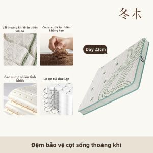DONGMU | Nệm Lò Xo Cao Su Dừa 22CM