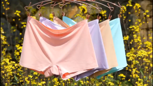 DXSS 1-2PCS กางเกงในไร้ขอบ กางเกงนิรภัยผ้าไหมน้ำแข็ง กางเกงในแข็งสีไม่มีรอยต่อ กางเกงในผู้หญิง