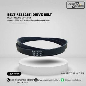 BELT F8382811 (สินค้าพร้อมส่งจากประเทศไทย)