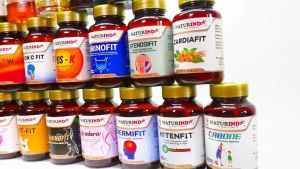 Obat Herbal Naturindo Fit - CARSIFIT Spesial Atasi Stroke Ringan Dan Berat (50 Kapsul)