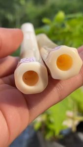 once pipa gg lokal panjang 16cm segilapan dan blimbing lengkung mulus