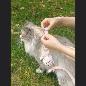 Bộ dây dắt cho Chó Mèo nhỏ kèm yếm ngực hình chú ong dễ thương (mẫu mới) - Love Pets Shop
