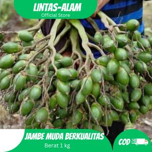 1kg Buah Pinang Muda Segar-jambe muda fresh