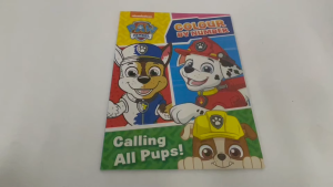 Paw Patrol Colour by Number English Colouring Book for Kids to learn colours & numbers 64 pages