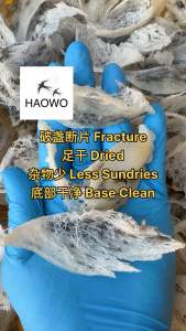 【HAOWO】10g Dried Raw Bird’s Nest Sarang Burung Walit Asli 足干 毛燕 燕窝 纯天然无加工挑毛