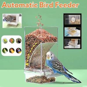 Bird Feeder Automatic Hanging Parrot Food Container Pigeon Feeding Dispenser Bird Food Accessories