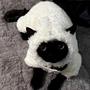 แมวไม่มีขนเสื้อผ้าสำหรับลูกสุนัขสี่ขาหนาให้ความอบอุ่นเสื้อผ้าคอสเพลย์แกะแมวเยอรมันพร้อมหมวกสำหรับฤดูใบไม้ร่วงฤดูหนาว