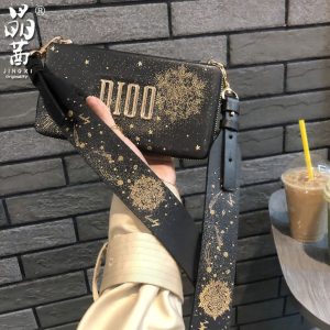 JINGQIAN | Handbag Modification Kit