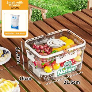 Portable Food Storage Box Portable Fridge Lunchbox