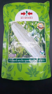 ศรแดง ข้าวโพดหวาน สวีทไวท์ 25 F1 ขนาด 200 กรัม หมดอายุ 26/09/2569  เมล็ดพันธุ์ ลอตใหม่ งอกดี ข้าวโพด เมล็ดสีขาว รสชาติเหนึยว นุ่ม หวาน ขายง่าย ตลาดต้องการ