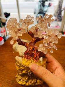 Cây đá Th.ạch A.nh Tím + Hồng nhạt dùng để trang trí văn phòng làm việc thu hút Tài Lộc.