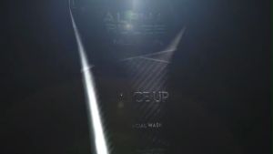 Alpha Rules Face Up: Strategi Penjualan Online dan Informasi Produk