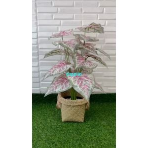 Pohon Artificial Tanaman Hias Calladium Pink X18 Semilatex Cover Pot Anyaman Purun Handle Dekorasi Rumah Aesthetic