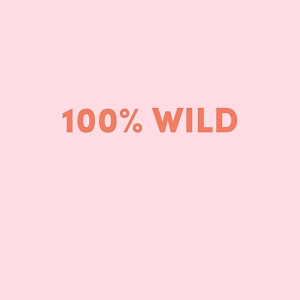 Floof Pets 100% Wild Salmon Oil 200ml for Dogs & Cats | Rich in Omega-3 EPA Fatty Acids & DHA