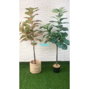 Pohon Plastik Tanaman Hias Daun Karet Merah Muda / Hijau Tua X3 T140 Latex Cover Pot Eceng Gondok Dekorasi Studio Aesthetic