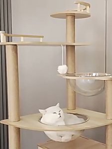 แข็งแรง ทนทาน คอนโดแมว7ชั้น คอนโดแมว ที่ลับเล็บแมว ที่นอนแมว ของเล่นแมว คอนโดแมว คอนโดแมวไม้