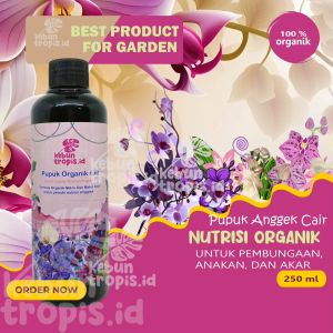 Pupuk Cair Anggrek 250 mL: Nutrisi & Perangsang Bunga Terbaik