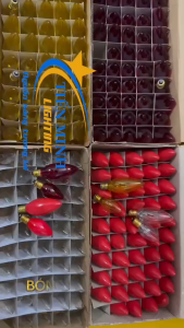 Combo 2 bóng ớt lớn dây tóc thuỷ tinh/Bóng sợi đốt E12 nhiều màu dùng cho bàn thờ gia tiênthần tài