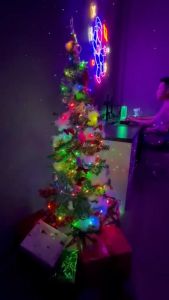 Dây đèn ledđèn fairy light giọt lệ 16 trệu màu 10M Nháy theo nhạc chống nước IP67 chỉnh app Điện Thoạitrang trí tết