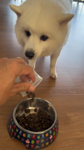 Real Nature River Duck Dog Food 2kg/4kg | Novel Protein Formula | Emotional Wellbeing Nutrition