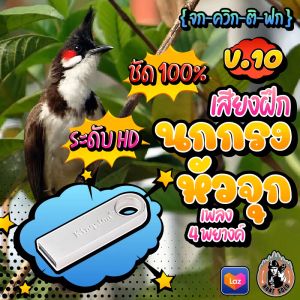 เสียงฝึกนกกรงหัวจุก V.10 {จก-ควิก-ติ-ฟก} นับดอก 4 พยางค์ แฟลชไดร์ฟเสียงนกกรงหัวจุก ชัด เสียงใส ไม่มีโฆษณาแทรก พร้อมส่ง! มีเก็บเงินปลายทาง