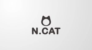 N.CAT No.1 Korea Brand/Gold Plated Earrings/STUD & TRIANGLE/Silver & Rose Gold Color/16208607