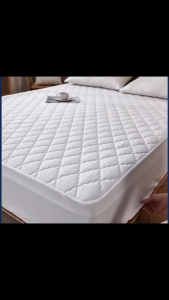 Mattress Protector Cover Waterproof Washable Bed Protection Pelindung Tilam Kalis Air Mudah Cuci