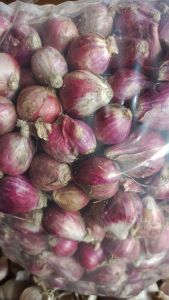 Bm pilihan super 1 kg
