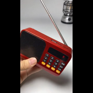 Radio FM Bluetooth Mini Cầm Tay Sanita Có Đèn LED - Loa Nghe Nhạc Thẻ Nhớ USB Sạc Type C