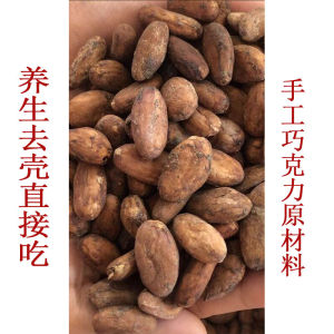 Natural Raw Cacao Beans Baked Coco Beans Ready to Eat Roasted Beans Sugar Free Pure Chocolate Ingredient Ecuador Origin
