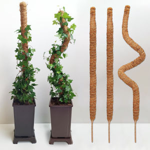 70cm/100cm/120cm Bendable Thicken Coir Stick Plant Vines Winding Support Post Bonsai Flowers Branch Leaf Growing Climbing Pole Garden Gadget