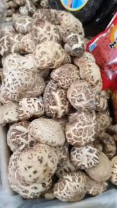 เห็ดหอม (เห็ดญี่ปุ่นดอกใหญ่) น้ำหนัก 200กรัม 500กรัม 1กิโล เห็ดหอมทำอาหารได้อร่อย มีประโยชน์