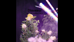 SG ReadyStock | USB LED Plant Grow Light Full Spectrum Phyto Lamp with Timer Control 3‑12H Indoor Growth Lamp for Seedlings Flowers & House Plants