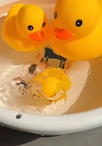 3PCS Squeaky Duck Yellow Duck Baby Bath Toys with Sound set baby bath toys little yellow duck