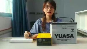 COD OTOHEROES Charger Aki Mobil Motor Truck Kapal Elektrik Otomatis Smart Battery 250W 12V/24V 150AH