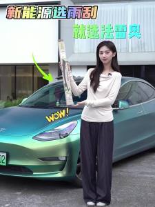 Valeo | OEM Spraying Tesla Model Suitable Wiper Blade