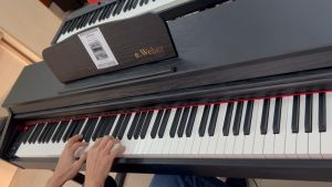 eWeber 88 keys High Grade Digital Piano